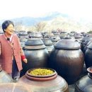 꾼들의 이야기 이미지