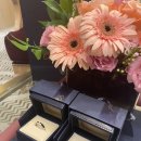 갸니&#39;s 웨딩 3. 쇼파드 아이스큐브 웨딩밴드 구매 후기(착용샷, 가격 정보)