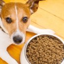 한양사료유통 이미지