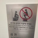 “제발 변기에 올라가지 말아주세요” 인천공항 청소 직원들 토로 [밀착취재] 이미지