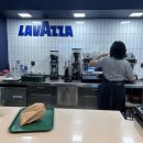 바달로나 이미지