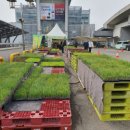 하나로 메디칼 이미지