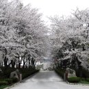 억대한우 이미지