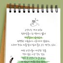 다솜고양이메디컬센터 이미지