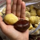 재철농장 이미지