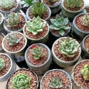 현이네 슈퍼 이미지