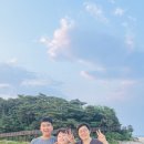 프리미엄ok부동산 공인중개사사무소 이미지