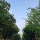 밀빛주 - 광명시 일직로 17 | 밀빛주