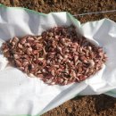 수촌농장 이미지