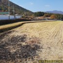 우원부동산공인중개사사무소 이미지