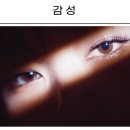 다비치안경 유성온천역점 네이버블로그