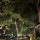 화이트네일 이미지