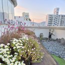 산후조리원 리얼후기_(feat.맘스드림)