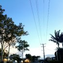 용안농장 이미지