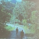 정이든 스테이 이미지