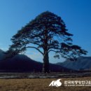 진동만수산 | [영화후기] 광대들 풍문조작단 줄거리 및 결말