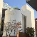 삼성카 | [Wedding] 예복 삼성결혼도움방 박람회 및 리로카옴므 맞춤예복 후기