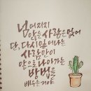 마스터캘리포토그라피