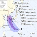 하이선 뉴스1