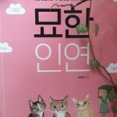 독한고양이 이미지