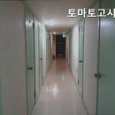 토마토고시텔