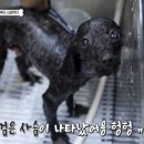 샵 세린파크 이미지