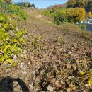 군포시보건소 버스정류소 이미지