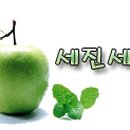 방호정민박 이미지