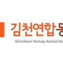 부곡동물병원 이미지