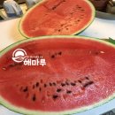 다정팜 | 보관도 쉽고 먹기 좋게 수박 써는법