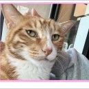 아이조아요양보호소 안양점 이미지