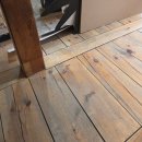 종로-신교-종로-신-111 | 봄은 오기에, 잠시뿐인 겨울이기에