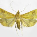 수원-1859 이미지