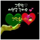 행복바이러스 Daum카페