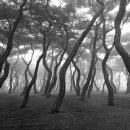 바람의 집 이미지