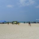 몬스터피시카페 이미지