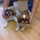 한얼동물병원 이미지