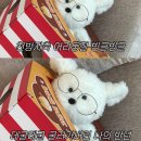 26년 6월 1주 차/주3회 운동 성공, 내가 소화제를 먹다니