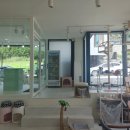 이쁘냥 고양이미용실 대전점 이미지