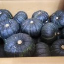 현선농장 이미지