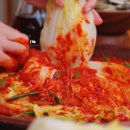 김치&젓갈 | 얼 전라도 젓갈 배추김치 후기 | 국산 얼갈이 아닌 얼 전라도 김치 2/3/5/10kg 가격 총정리