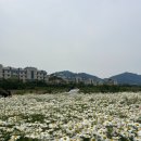 도평커피 이미지