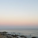 수평선횟집 | 경주 횟집 | 수평선 회 타운 솔직 후기