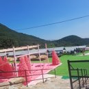 핑크놀이터
