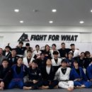 파이트체육관 이미지