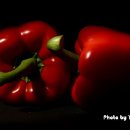 흥농종묘 이미지