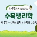 [Renewal 나무의사] 수목생리학 - 제3강 수목의 조직 / 수목의 구조(잎) 조회수 4.6천회 1년 전 이미지