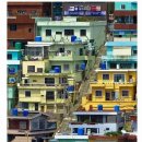 제일체육관 이미지