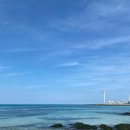 제주도 푸른밤 이미지