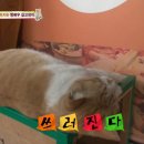 승환농장 이미지